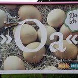 Sprachlandschaft: Werbeplakat Oa/Eier